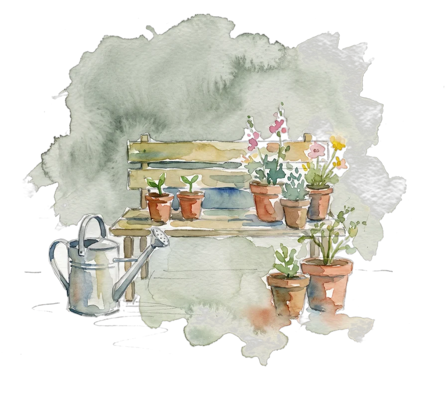 Aquarell: Gärtnereibank mit Tontöpfen und Gießkanne